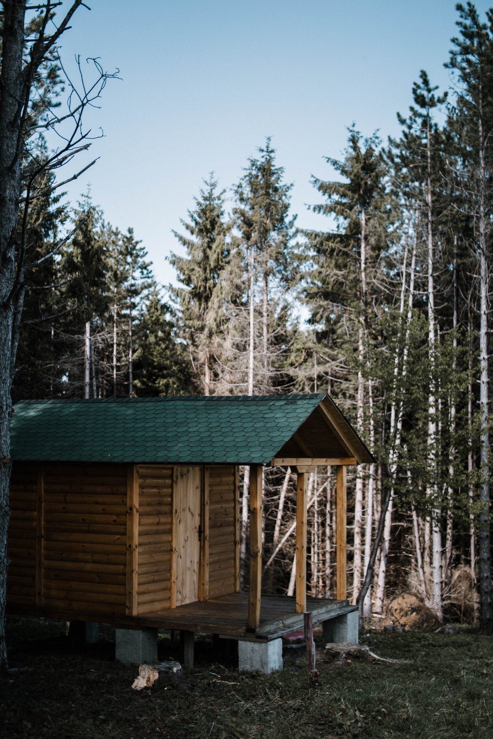 A vertical shot of a small wooden house surrounded by tall trees in a forest